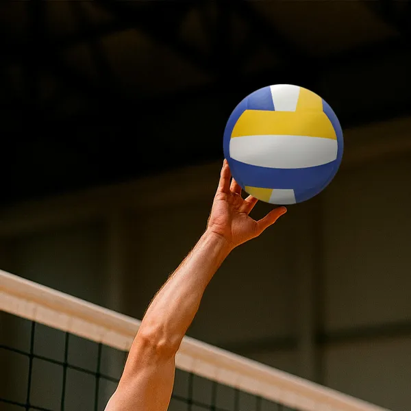 Võrkpalli Pall Aktive