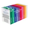 Holi Color Powder - Set of 10x100g
