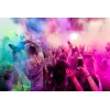 Holi värvipulber - komplekt 10x100g