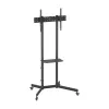 TV laikiklis Aisens FT70TE-333 70" 37"