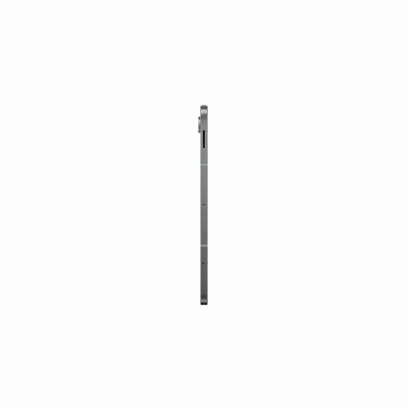 Planšetė Samsung SM-X520NZAPEUB 10,9" 12 GB RAM 256 GB Pilka