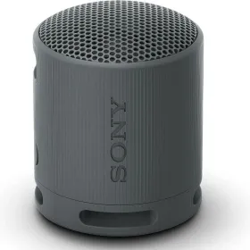 Bluetooth-kaiuttimet Sony SRSXB100B.CE7 Musta