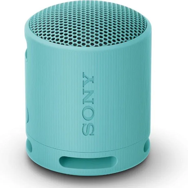 Портативный Bluetooth-динамик Sony SRSXB100L Синий