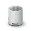 Kannettavat Bluetooth-kaiuttimet Sony SRSXB100H.CE7 Harmaa
