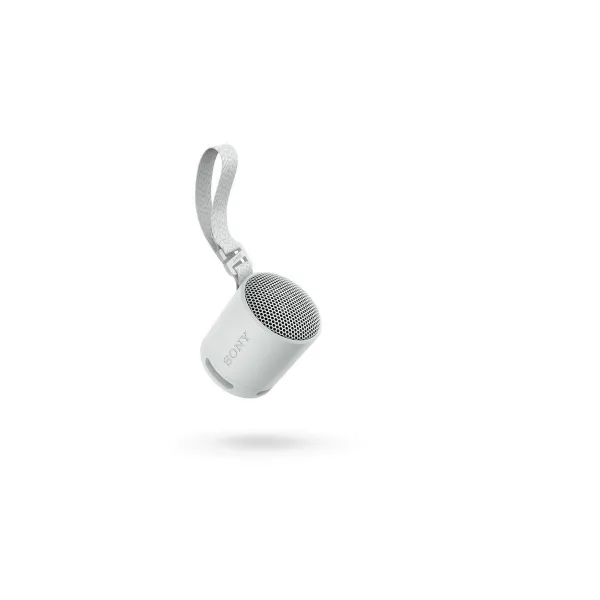 Kannettavat Bluetooth-kaiuttimet Sony SRSXB100H.CE7 Harmaa