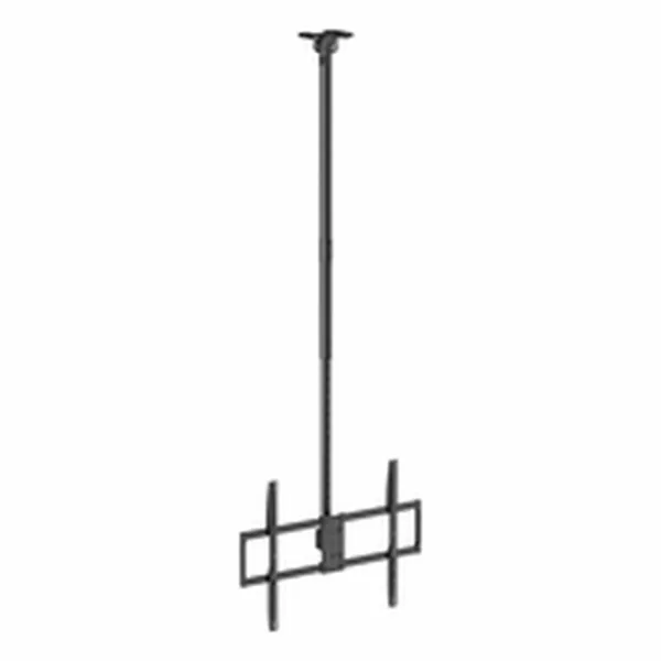 TV laikiklis Aisens CT100TSLE-393 100" 80 kg