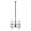 TV laikiklis Aisens CT100TSLE-393 100" 80 kg