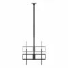 TV laikiklis Aisens CT100TSLE-393 100" 80 kg