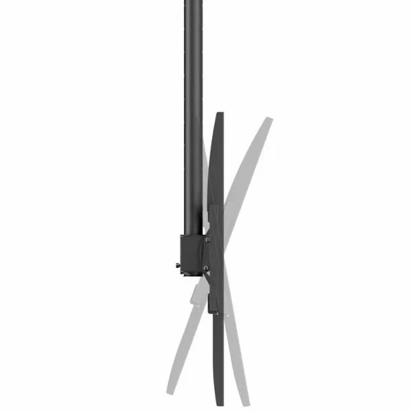 TV laikiklis Aisens CT100TSLE-393 100" 80 kg