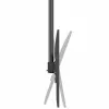 TV laikiklis Aisens CT100TSLE-393 100" 80 kg