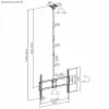 TV laikiklis Aisens CT100TSLE-393 100" 80 kg