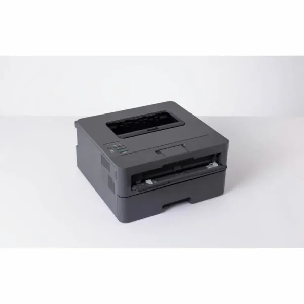 Daudzfunkcionāls Printeris Brother HL-L2400DWE