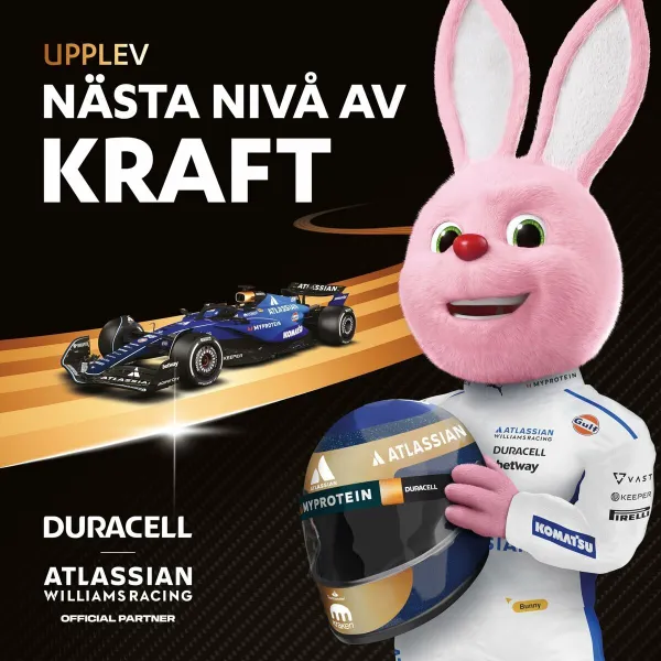 Rechargeable Batteries DURACELL DPBLR3B12 1,5 V AAA