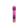 Dvigubos Stimuliacijos Vibratorius Party Color Toys JUNY  Rožinė