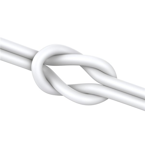 Ausinės Joyroom JR-EC06 Type-C sidabrinės