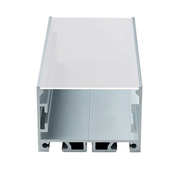 2m. DP66 BASE PROFILE