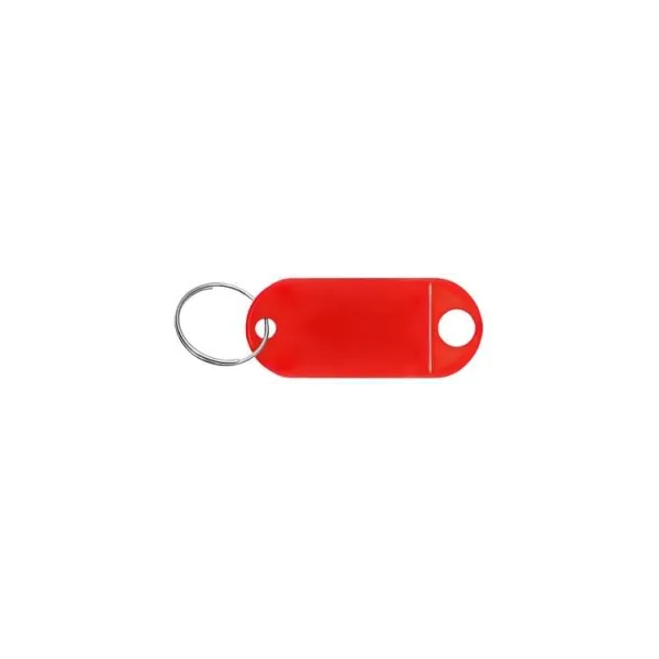 Keychain/key identifier set 100 pcs