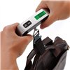 Luggage scale Reach LS-1 grey