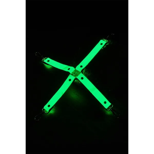 Regulējams Pakļaušanas Komplekts ar Virvēm Dream Toys Radiant