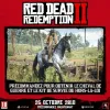 PlayStation 4 -videopeli Sony Red Dead Redemption 2