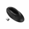 Pele Kensington K75404EU
