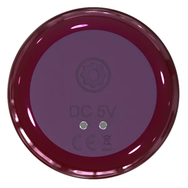 Analinis kištukas Dream Toys Glam Raudona