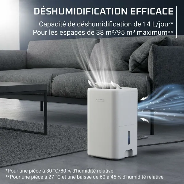 Oro sausintuvas Rowenta DH5250F0 300 W 3 L