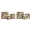 Kabantis šviestuvas Home ESPRIT Žalia Spalvotas Keramikinis Tropinis 13,6 X 13,6 X 11,8 CM (3 Dalys) (2 vnt.)