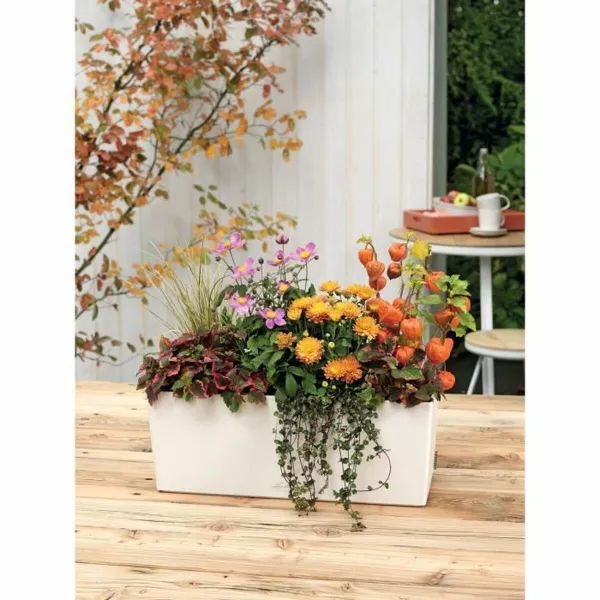 Plant pot Lechuza White Black polypropylene