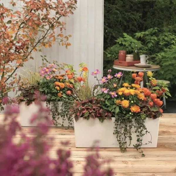 Plant pot Lechuza White Black polypropylene