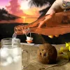 Stiklinis butelis La Mediterránea stiklas 1 L (12 vnt.)