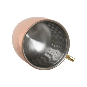 Projektorius Optoma W371 WXGA 3800 lm