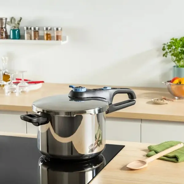 Greitpuodis Tefal TRENDY+      4L Metalinis
