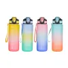 Бутылка с водой Bewinner Разноцветный 800 ml 7,5 x 23,5 cm (12 штук)