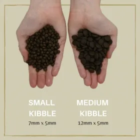 Fodder EDEN 80/20 Medium kibble Salmon 2 Kg