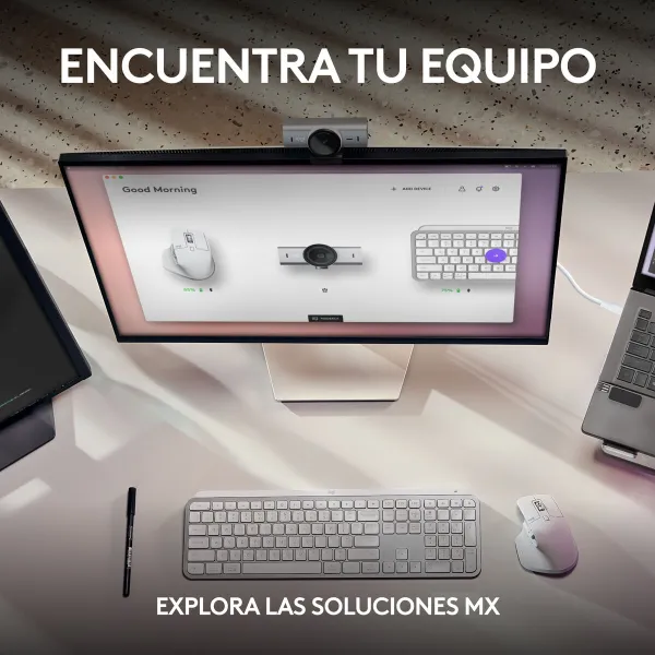Webcam Logitech 960-001554