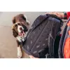 Gym Bag Gregory 153056-9974 Black 16 L