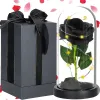 Eternal rose in glass Springos HA7442