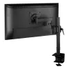 Ekrano laikiklis Arctic AEMNT00061A 43" 40"