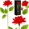 Igavene Rose Springos HA7449