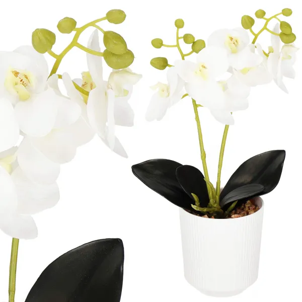 Artificial orchid Springos HA7423