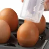 Kiaušinių katilas DOMO