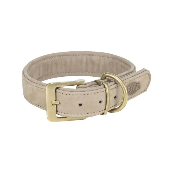 Dog collar Trixie Pure Light grey XS 25-31 cm