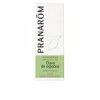 Eeterlik õli Pranarôm   Nelk 10 ml