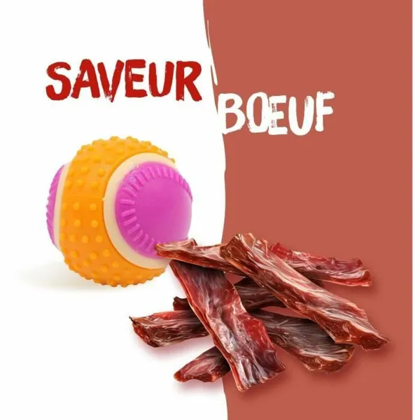 Soft toy for dogs Aimé Pink Plastic