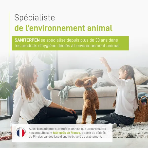 Disinfectant Saniterpen 1 L