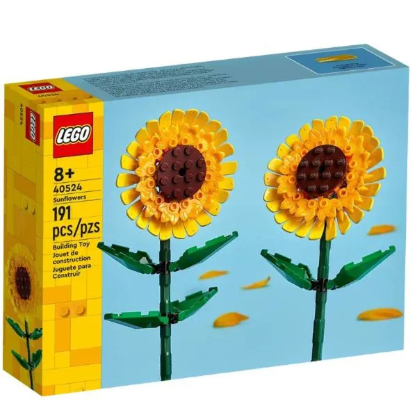 Rakennussetti Lego 1 Kappaletta