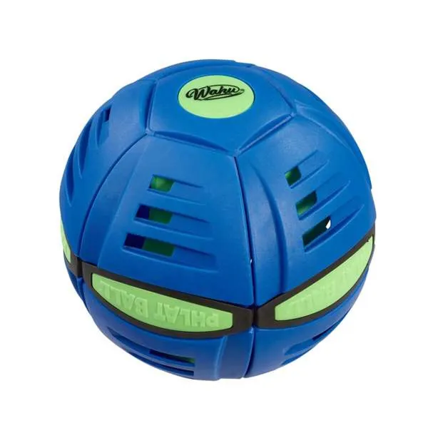 Frisbijs Bizak