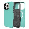 Perfectionists Triangle Mag Case iPhone 16 Pro Max green