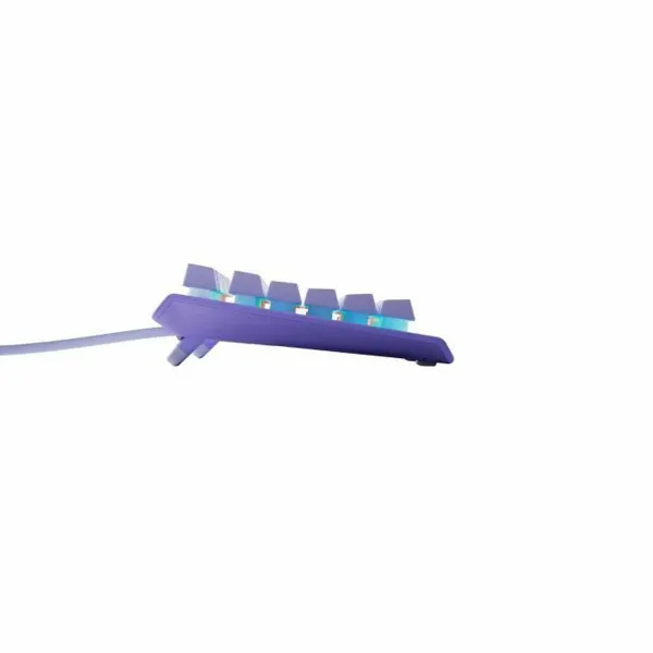 Klaviatūra SteelSeries